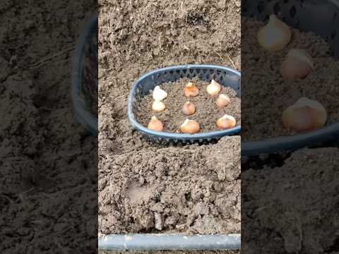 Просили помедленнее и с результатом, ловите😉