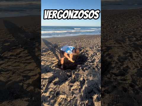 Los Momentos Más Vergonzosos Hechos Por Padres