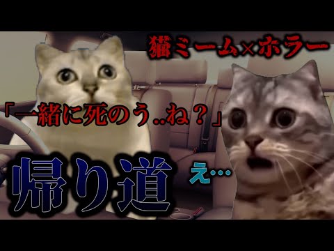 【猫ミーム×怖い話】帰り道でバイバイ👋  #怖い話 #ゾッとする話 #猫マニ