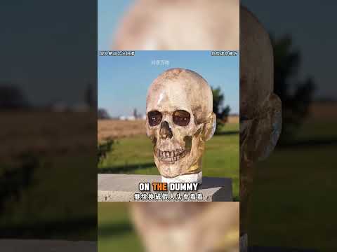 3D Printed Bullet vs. Human Skull! (Air Gun Carnage) #shorts #usa