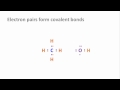 Exploring the Chemistry of Life and Covalent Bonds