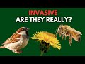 Invasive Species Impact and Management