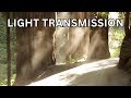 Light Behavior and Properties