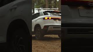 POV: você é a motorista, a fotógrafa e a filmmaker do grupo