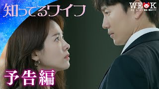 胸キュン ラブコメ 韓国ドラマ がアツい 韓国マニア厳選 Netflix話題のおすすめbest15 ヨムーノ
