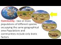 Ecology Concepts and Interactions