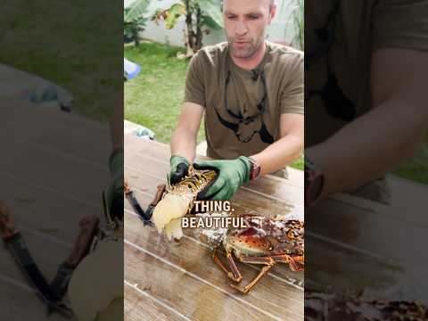 Get 50% MORE MEAT When Cleaning Spiny Lobsters #Shorts