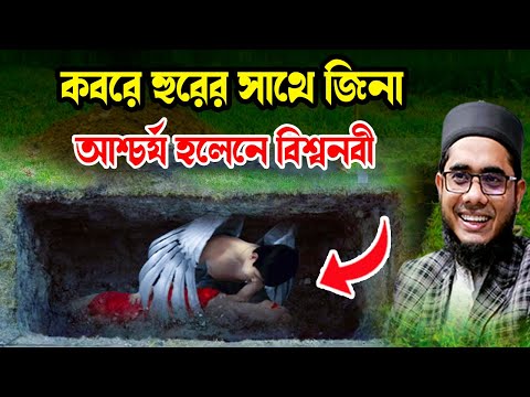 কবরে হুরের সাথে জিনা  আশ্চর্য হলেনে বিশ্বনবী  ওয়াজ ২০২৫ shahidur Rahman mahmudabadi  new waz