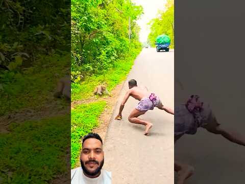 Monkey🙉VS Humans 😂 Funniest Jungle Fight! #shortsfeed #foryou #funnyshorts #fyp #fun #funnyvideo