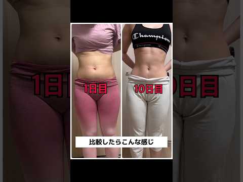 10日で驚くほど効果ある最強の筋トレ #ダイエット #ダイエット記録 #痩せたい #プランク#筋トレ#shorts