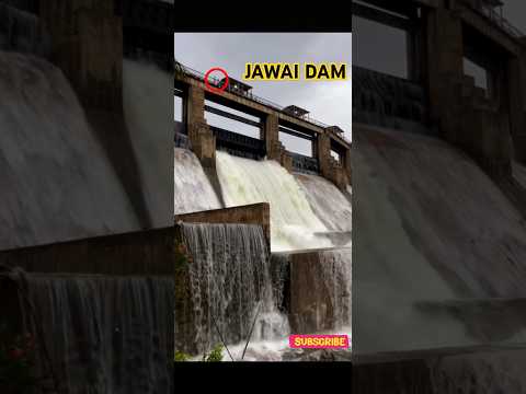 Jawai Dam Gate Opening #jawai #dam #gate #opening