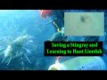 Lionfish Hunting and Diving Adventures