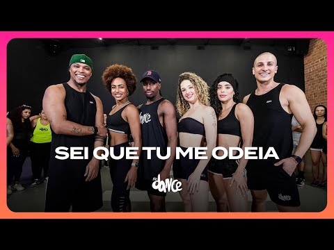 SEI QUE TU ME ODEIA - Anitta ft. Mc Danny, HITMAKER  | FitDance (Coreografia)