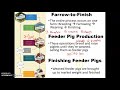 Market Pig Production and Management