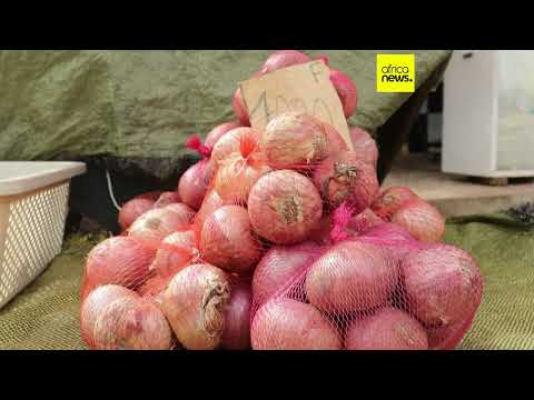 YouTube video thumbnail: Organisation Promoting Central African Economic Integration Suspends Activities