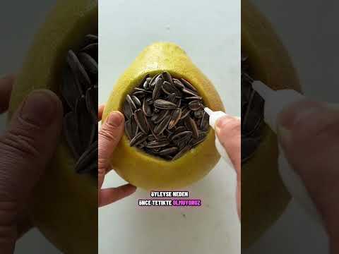 baba paraları hırsızlara meyve veriyor saklanıyorlar 💰🤯!!! #shorts