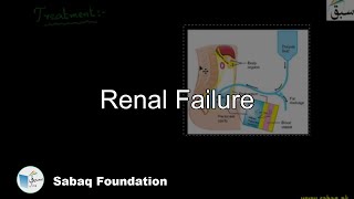 Kidney (Renal) Failure, Dialysis