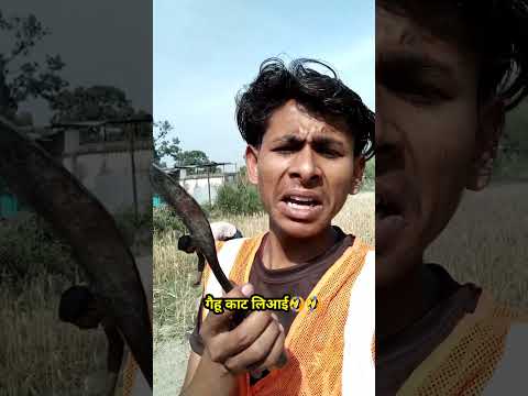 गेहूं काट लिआई ? /#funny_shorts_viral /#Comedyn_golu_lal