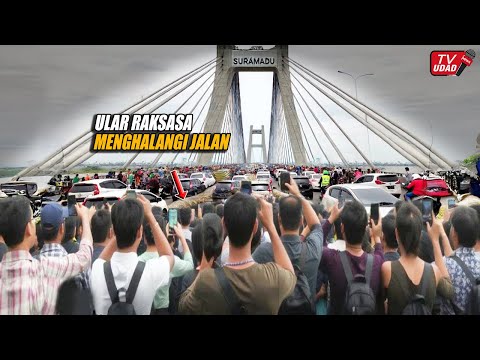 Gempar !! Ular Raksasa Penunggu Jembatan Suramadu Muncul Hebohkan Warga, Bikin Macet ??