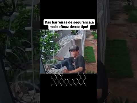 Cerca elétrica com concertina