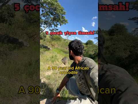 Türkiye de olsa koruma altına alınır mıydı sizce ? #afrika #gezgin #seyyah #gezi #geziyorum #dünya