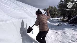 Kaus snow ( thaij cia tau saib xwb)