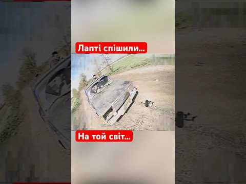 Лапті спішили на той світ …