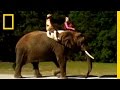 The Adventure of Surya and Roscoe