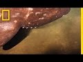 Exploration of Kavachi Volcano