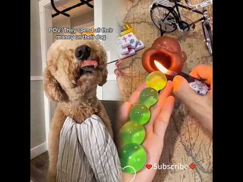 #illustration #tattoo #procreate #drawing #art #whydidntmyexcomeback