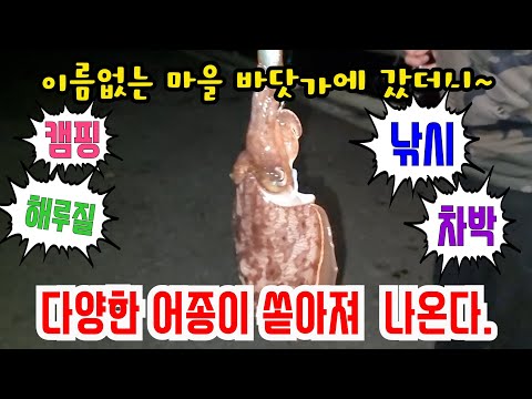 서해 남다른 크기의 갑오징어부터 다양한 어종이 막 나온다...#여행 #캠핑 #낚시 #차박