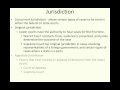 Supreme Court Concepts and Cases