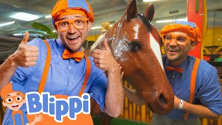 Discover Jungle Animals with Blippi! 🌴🐯BLIPPI | Moonbug Kids - Play and Goal Club