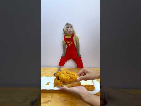 monkey Nana always grumbles at me while eating chicken thighs 🍗🐒🤣# #monkey#nana #fypシ #shortvideo