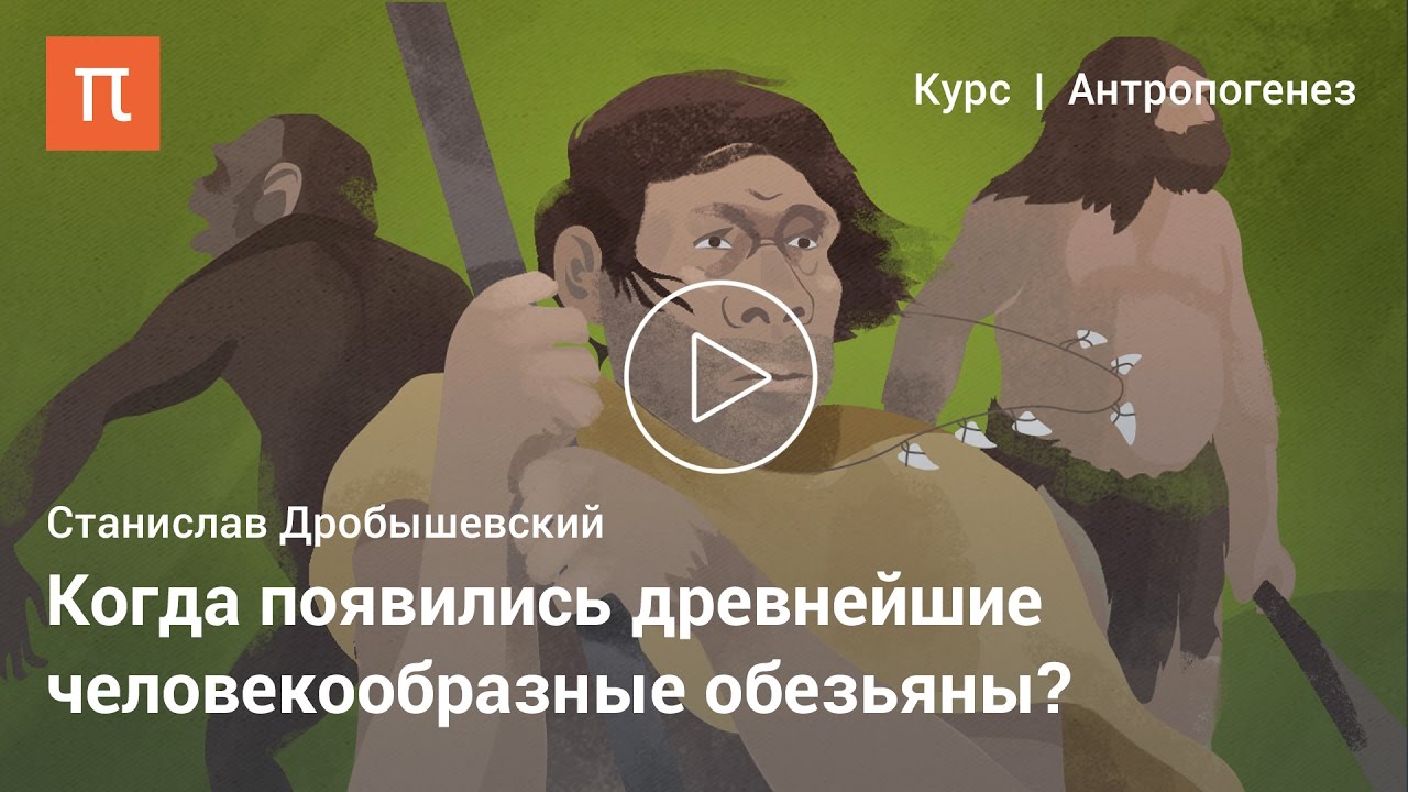 Возникновение человека - Станислав Дробышевский