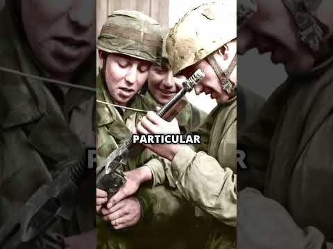 What Weapons Did Germany Loot in WW2?