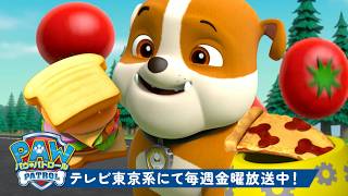 パウ・パトロール | PAW Patrol おいしい冒険＆レスキュー！#6 🍕 | 30分 | テレビ東京系にて放送中