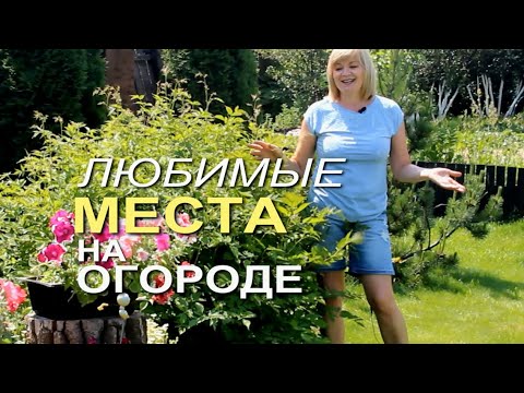 Чтобы урожай был хорошим, надо не забывать отдыхать!