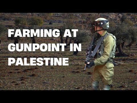 How Israel is Destroying Palestinian Farms