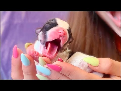 CONÓCELOS Y DESCUBRE SI SON NIÑAS O NIÑOS!? (estoy PREOCUPADA ...el papá NO SE ACERCA)