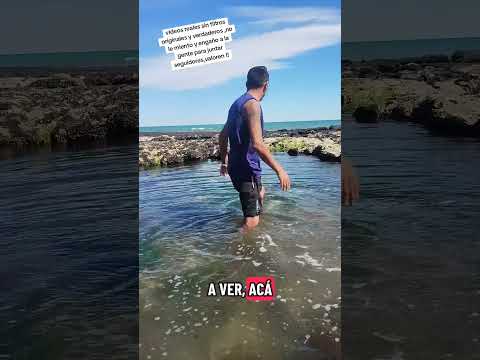 mis videos son. verdaderamente originales sin filtros y sin IA..