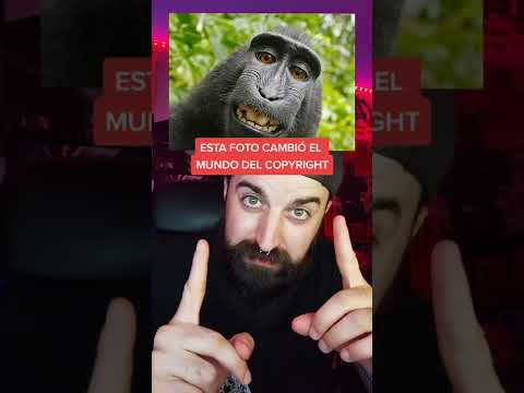 🐒 La MONA fotógrafa que la lio #short
