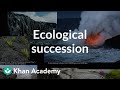Ecological Succession Concepts