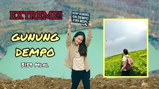 JALUR LUTUT KETEMU JIDAT GUNUNG DEMPO, PAGAR ALAMNYA INDAH BANGET!!