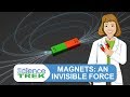 Magnetism and Electromagnetism Concepts