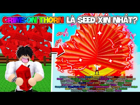 DR4GONS BUG CÂY CRIMSON THORN MẠNH HƠN CẢ BONE BLOSSOM GẤP 2 LẦN TRONG GROW A GARDEN | Roblox