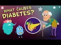 Understanding Diabetes