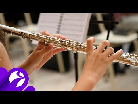 В ямальские школы искусств закупят новые музыкальные инструменты