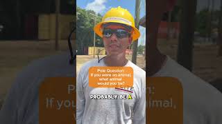 Let’s get wild. #lineman #trades #animals #bluecollar #fyp