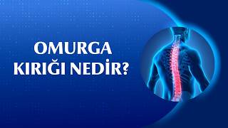 Omurga Kırığı Belirtileri ve Tedavisi: Bel ve Sırt Ağrısı Ne Zaman Tehlikeli?